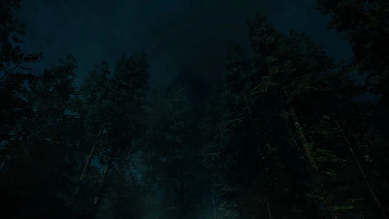 Forest Lookout Screenshot 0