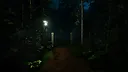 Forest Lookout Screenshot 4