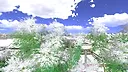 Peasant Samurai ～ 百姓ノ持チタル国 Screenshot 3
