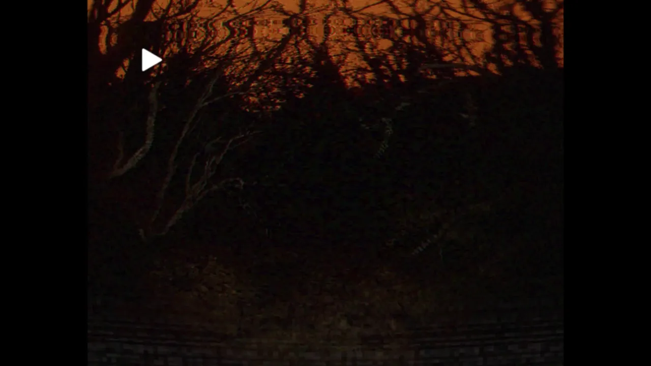 Deeply Dark: Files Screenshot 4