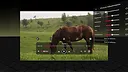 PLAY'A VR  Video Player Screenshot 4