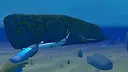 Bodian's Bay Wash Screenshot 1
