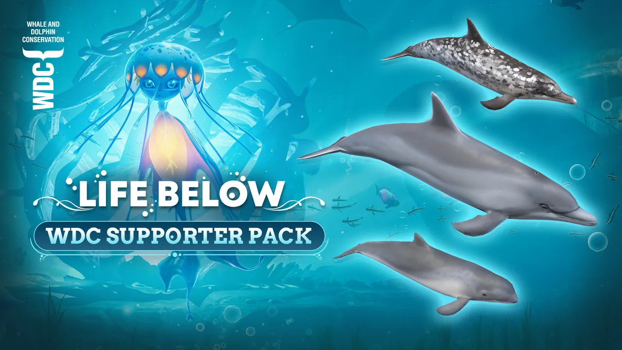 Life Below - WDC Supporter Pack Screenshot 0