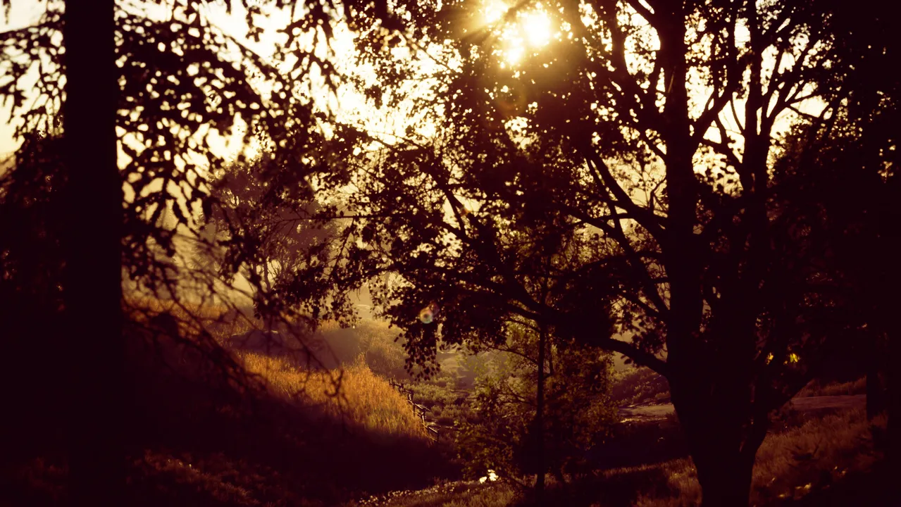 Dreamhouse: The Game Screenshot 9