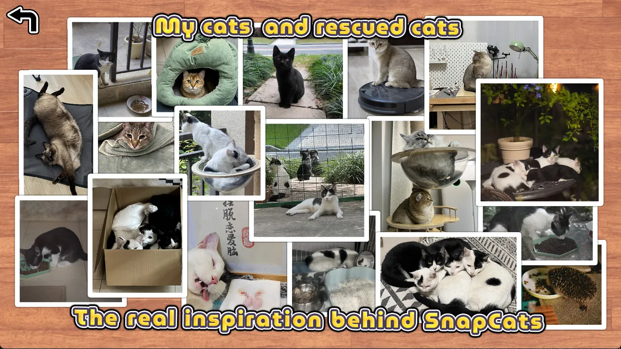 SnapCats Screenshot 13