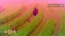 Gaucho and the Grassland Demo Screenshot 11
