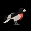 Rose-breasted Grosbeak icon