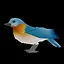 Eastern Bluebird icon
