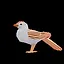 Chipping Sparrow icon