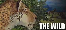 The Wild Playtest