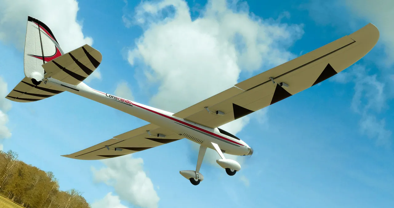 RealFlight Evolution - E-flite Conscendo 2.0m Screenshot 3