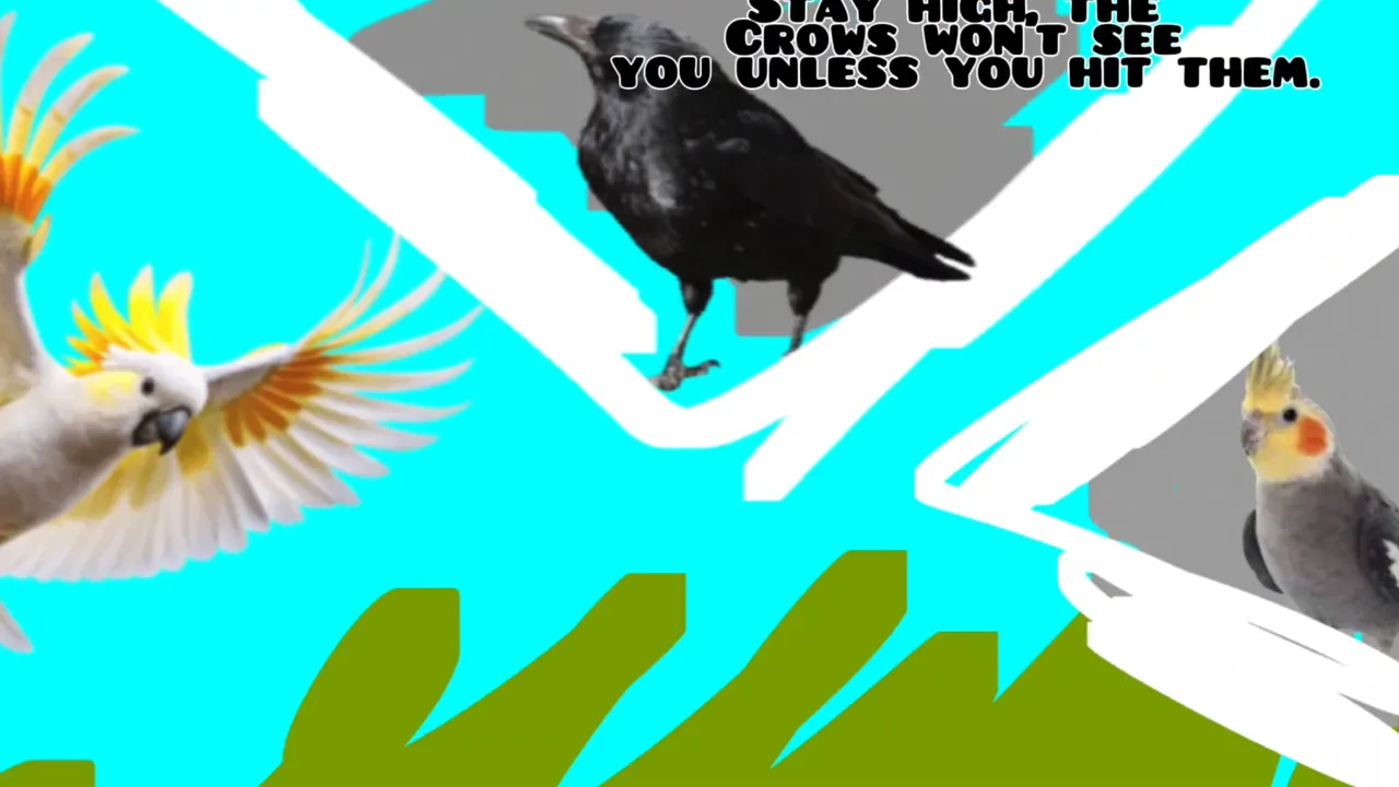 Andy Runner - Cockatoo Fluff-Up Screenshot 0