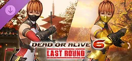 Morphing Ninja Costume - Kasumi
