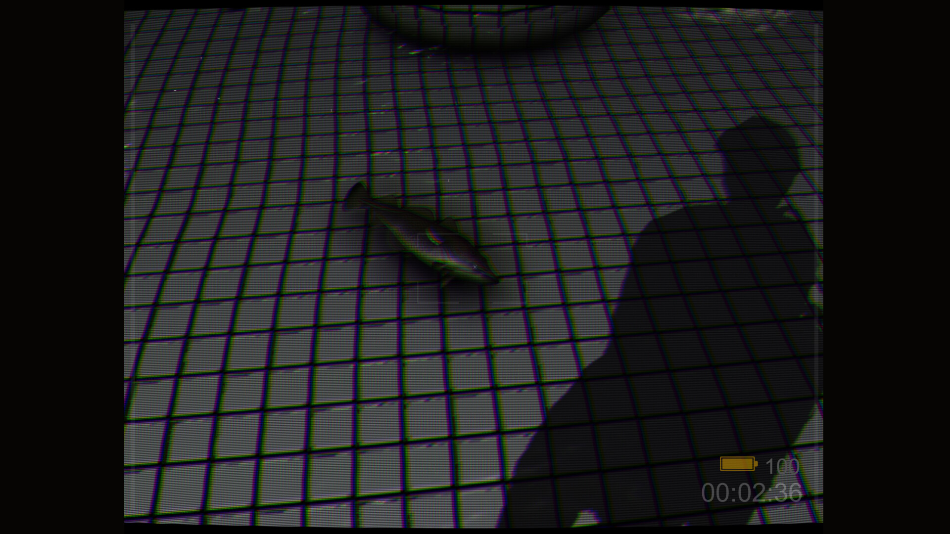 Backrooms: Poolrooms Screenshot 2