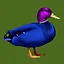 Blue Duck icon
