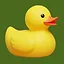 Rubber Duck icon