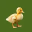 Duckling icon