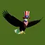 Murica icon