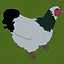 Buckawk icon