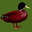Red Duck icon