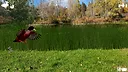 Jump Duck Screenshot 4