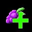 Mejora al maximo las uvas icon