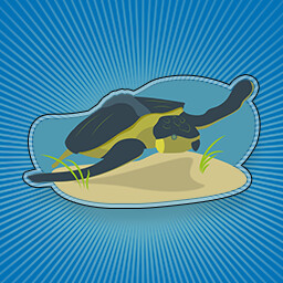 Turtle Seeker icon