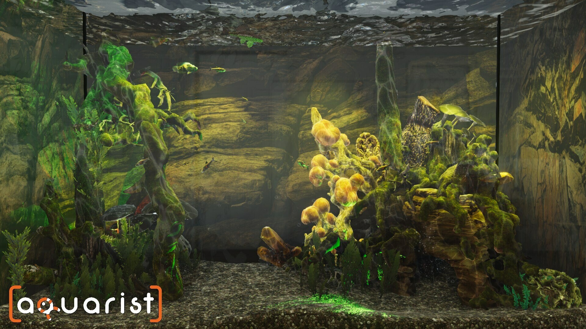 Aquarist Screenshot 8