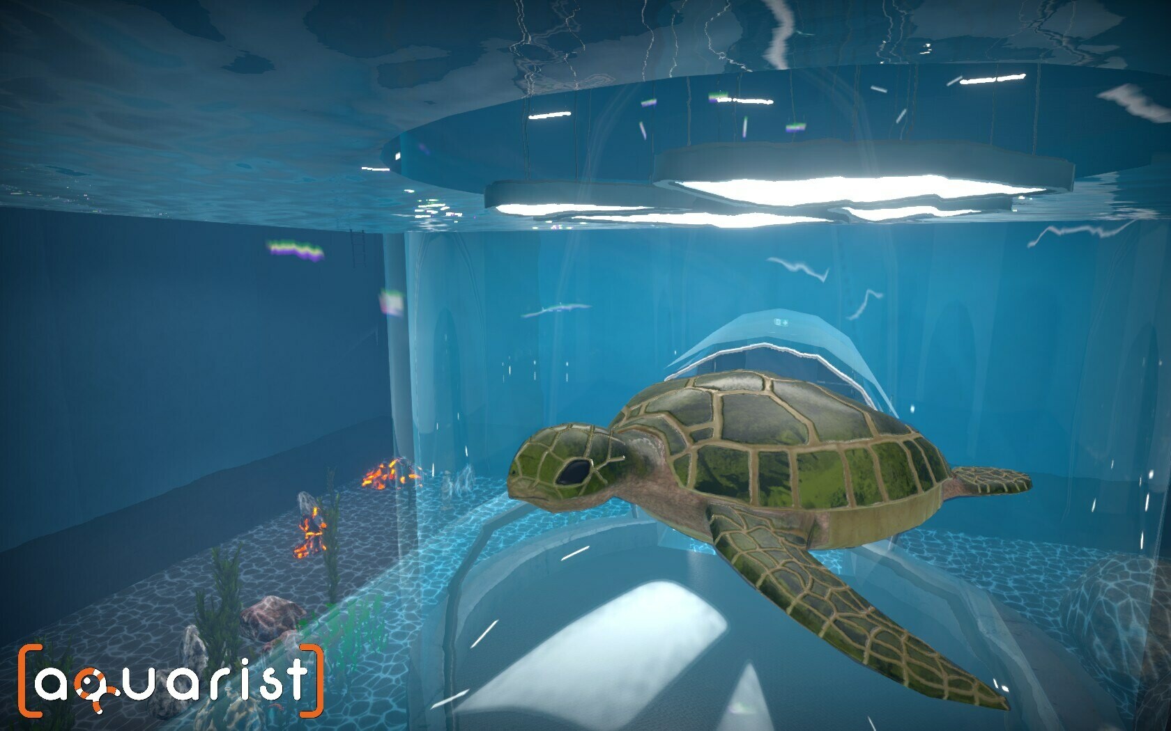 Aquarist Screenshot 13