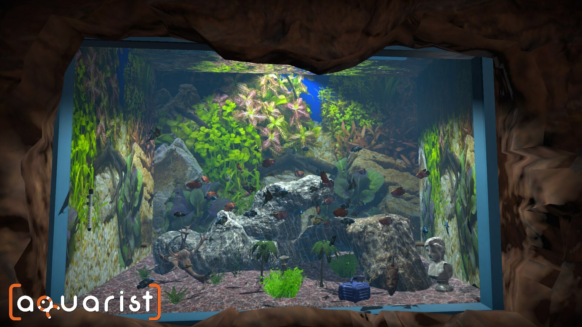 Aquarist Screenshot 11