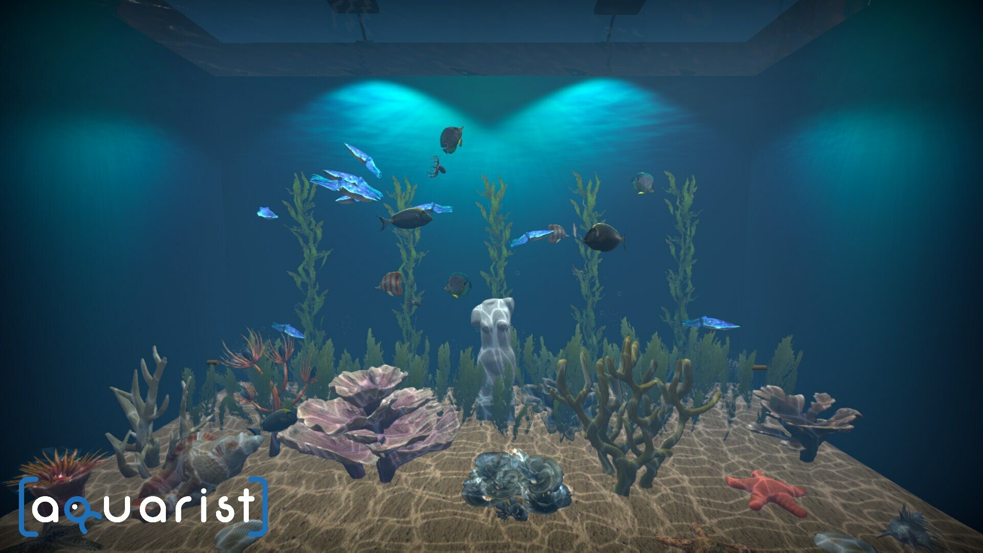 Aquarist Screenshot 19
