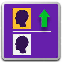 Mini League Champion icon