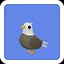 Teaching from Master Eagle icon