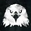 Eagle eyes icon