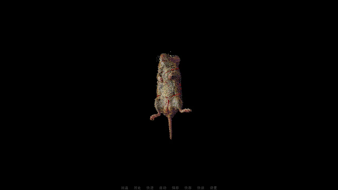 Outside the pile of leaf litter Screenshot 0