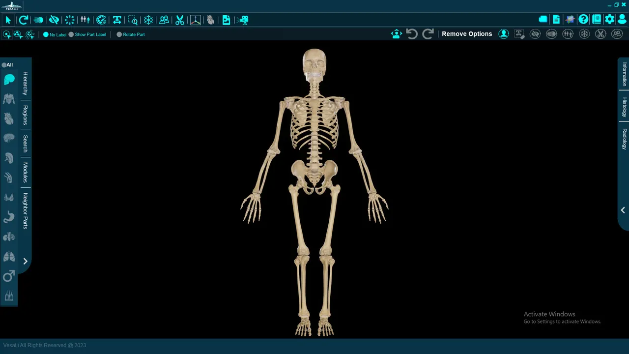 Vesalii Anatomy 3D Student Screenshot 1