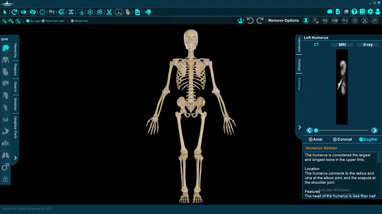 Vesalii Anatomy 3D Student Screenshot 4