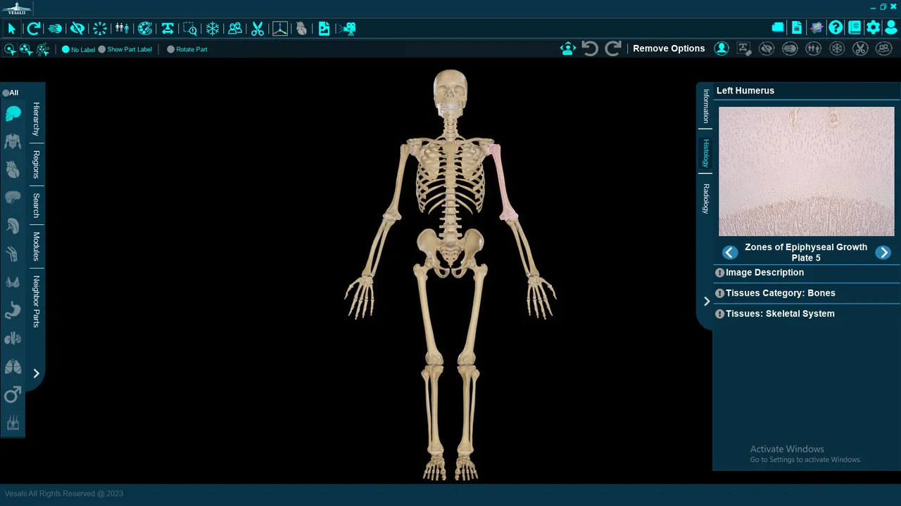Vesalii Anatomy 3D Student Screenshot 3