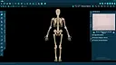 Vesalii Anatomy 3D Student Screenshot 3