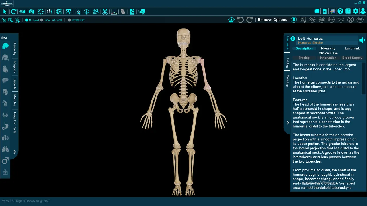 Vesalii Anatomy 3D Student Screenshot 2