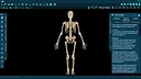 Vesalii Anatomy 3D Student Screenshot 2