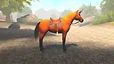 Horse Spirit Valley Screenshot 5