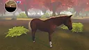 Horse Spirit Valley Screenshot 6