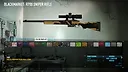 PAYDAY 2: Weapon Color Pack 2 Screenshot 0