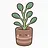 Restored: Round-leaf Plant