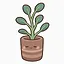 Restored: Round-leaf Plant icon