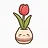 Restored: Tulip