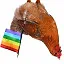 rainbow chicken icon