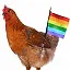 rainbow chicken icon
