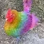 rainbow rooster icon